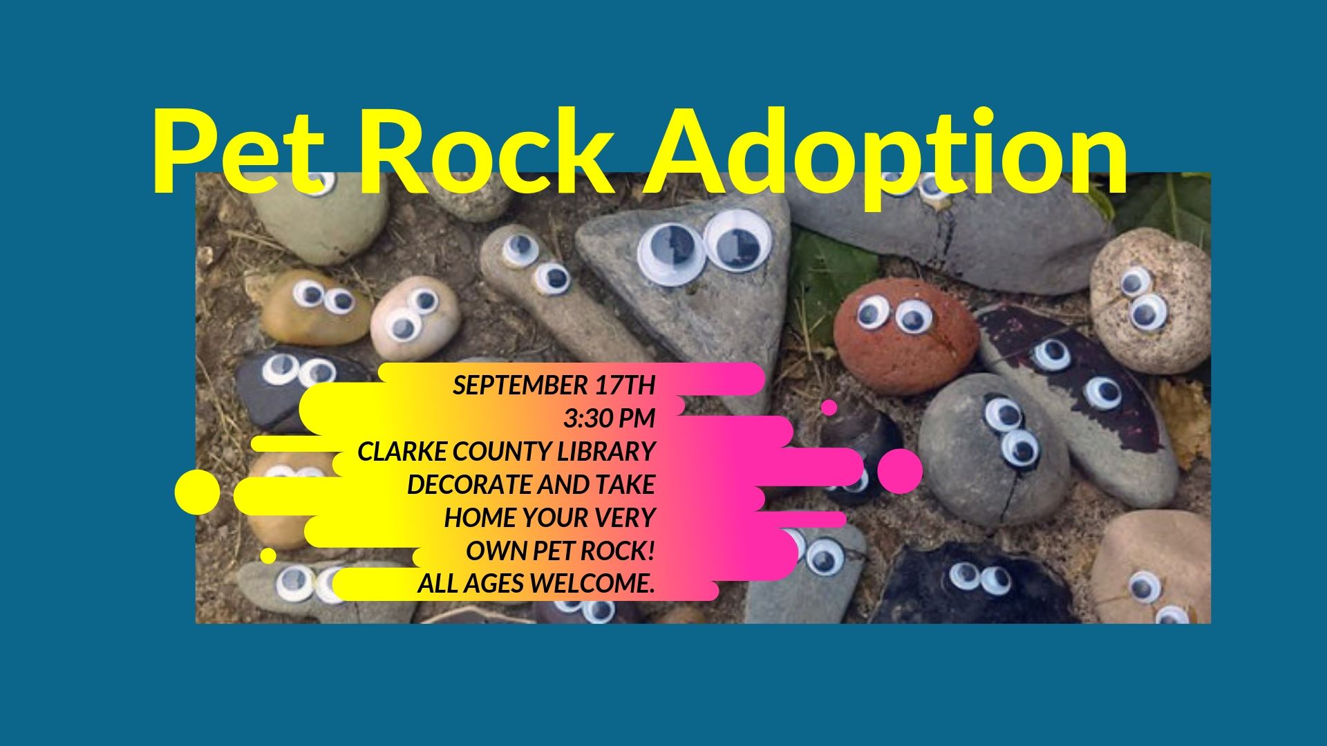 Pet Rock Adoption Handley Regional Library System